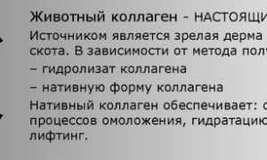 Коллагеновое обертывание волос – плюсы и минусы процедуры, средства для обертывания