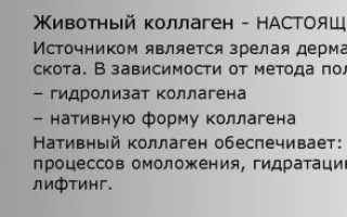 Коллагеновое обертывание волос – плюсы и минусы процедуры, средства для обертывания